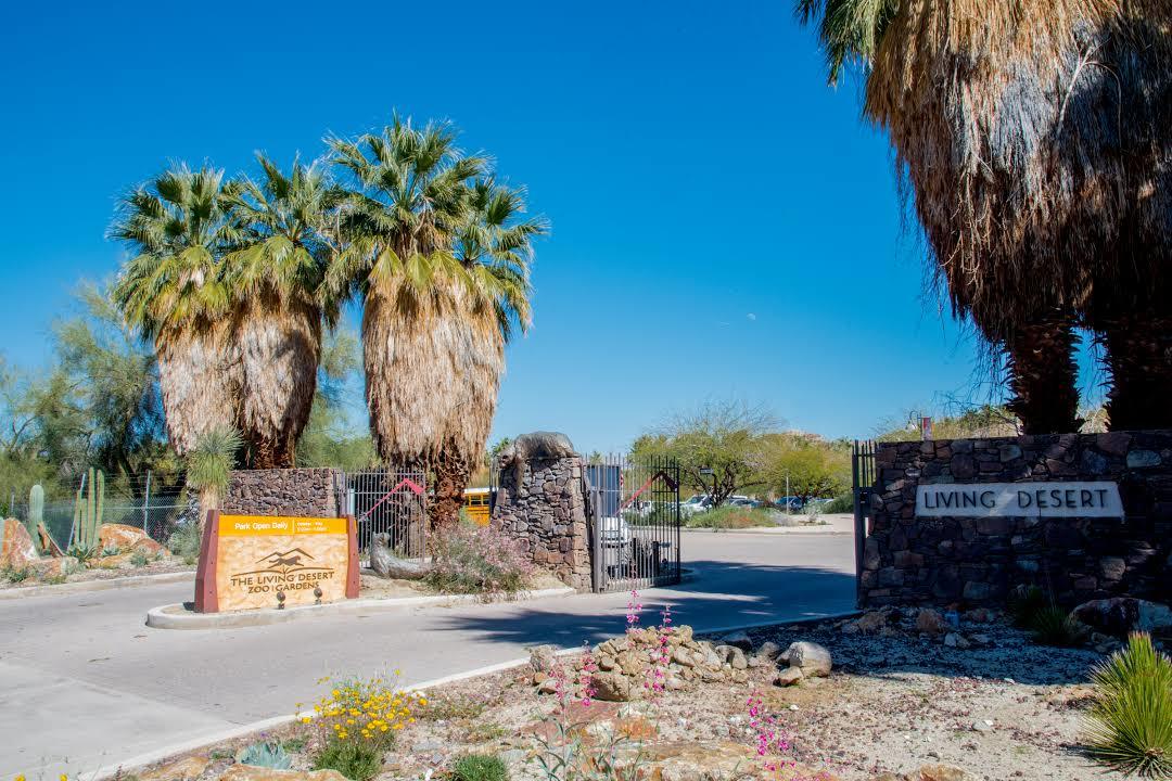 Living Desert Hayvanat Bahçesi ve Bahçeleri