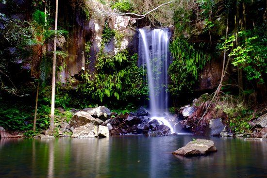 Curtis Falls