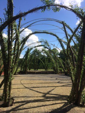 Arena Salix
