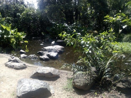 Redcliffe Botanic Gardens
