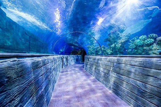 Malta National Aquarium