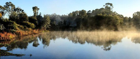 Gleeson Wetlands