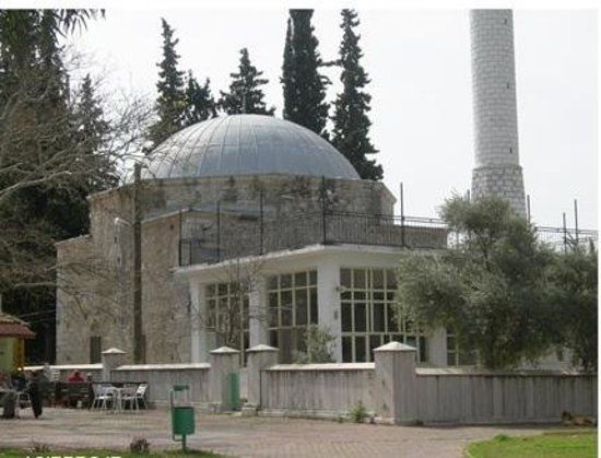 Dalyan Camisi