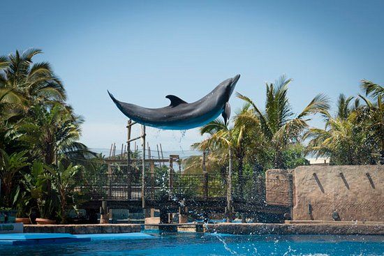 uShaka Marine World