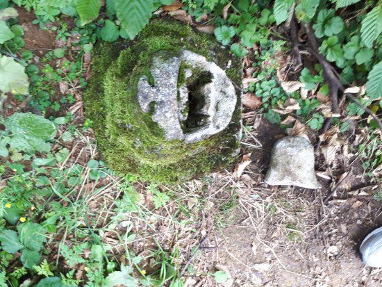 Jardin Fantastique