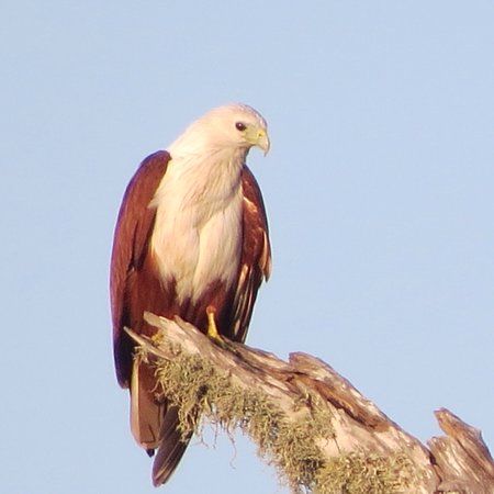 Yala National Park