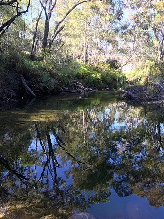 Searys Creek
