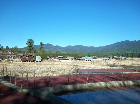 Tarin Fish Farm
