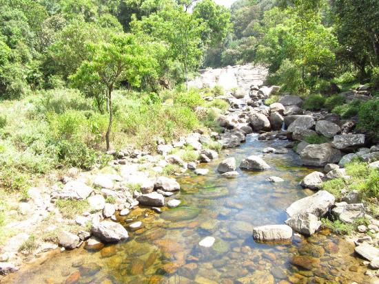 Chinna Kallar Falls
