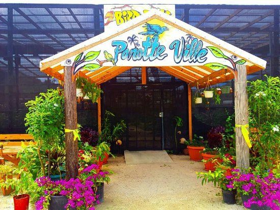 Parotte Ville Bird Sanctuary