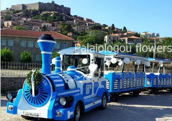 Village Train