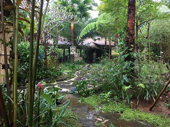 Segara Windhu Coffee Plantation