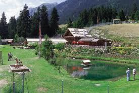 Wild Park