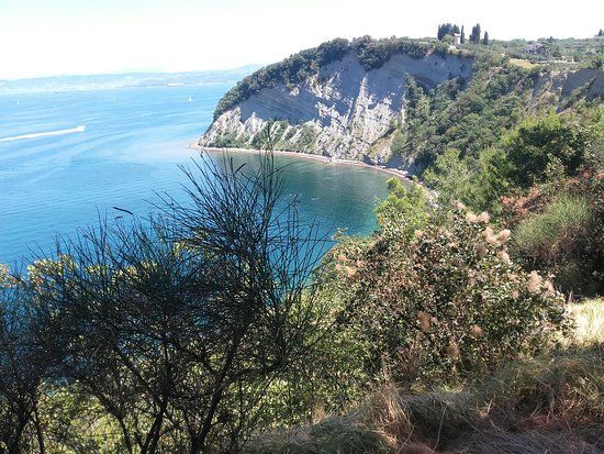 Strunjan Cliff