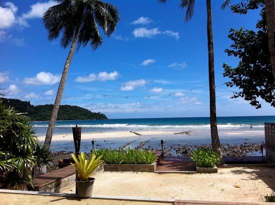 Paradise Cottage Bar & Restaurant