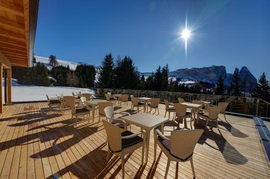 Café Tea Lounge Sabina