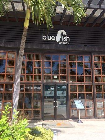 Blue Fish
