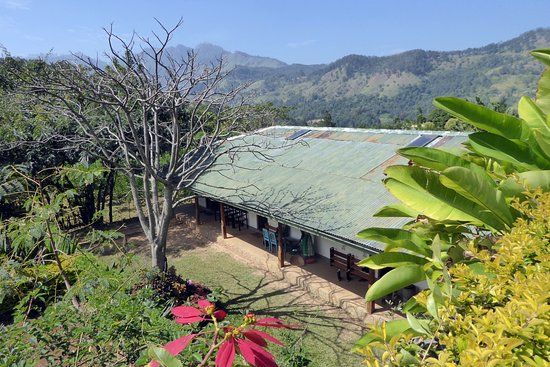 Amba Estate