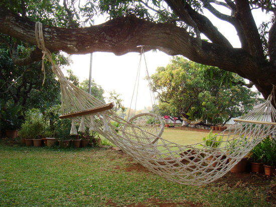 Mahua Bagh