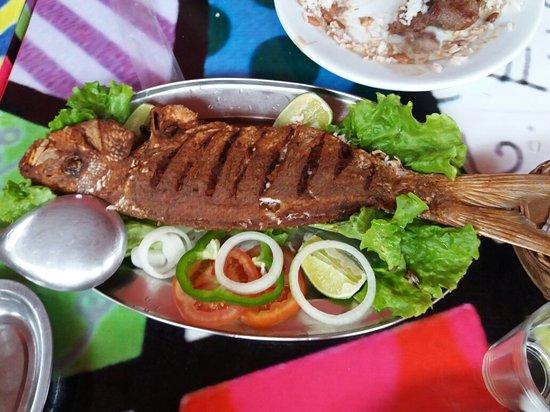 Sabor Delicia
