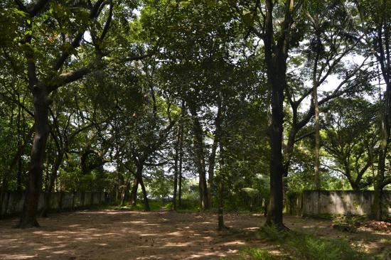 Pallipuram Fort