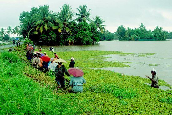 Punnamada Lake
