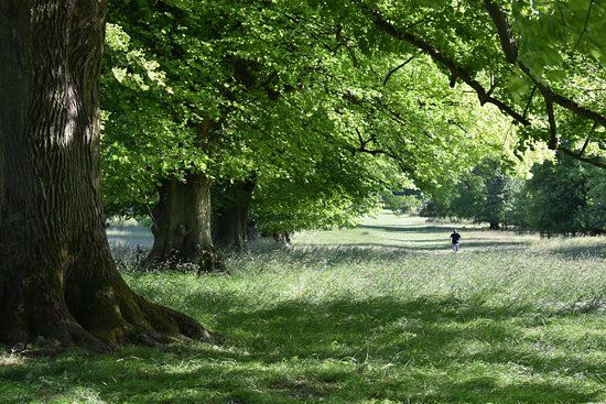 Tring Park
