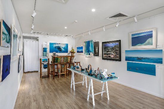 Above & Below Photography Gallery