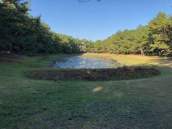 Misogi Pond