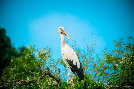 Parc ornithologique d'écotourisme de Thung Nham
