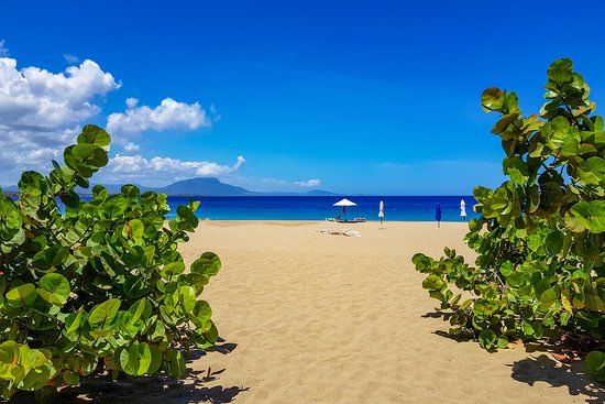 Playa Alicia