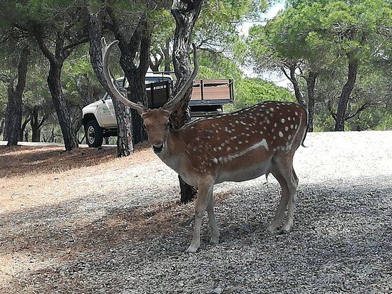 Parque Mata Da Conceição