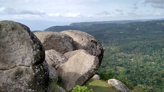Tortoise Rock