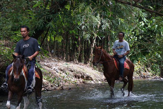 Bale Kuda Stable