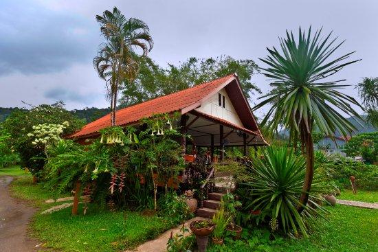 Rafflesia Cafe