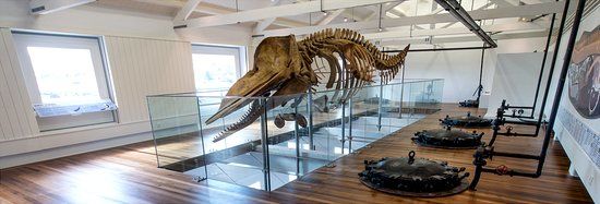 Porto Pim Whale Factory Museum