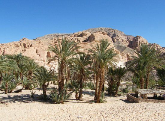 Ain Khudra