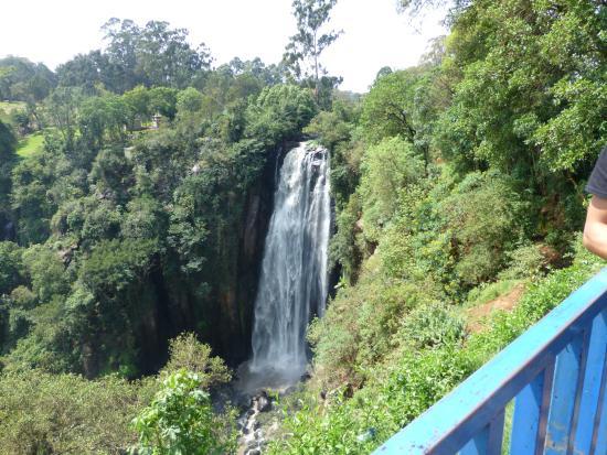 Thomson's Falls