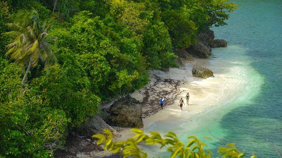 Danjugan Island Marine Reserve and Sanctuaries