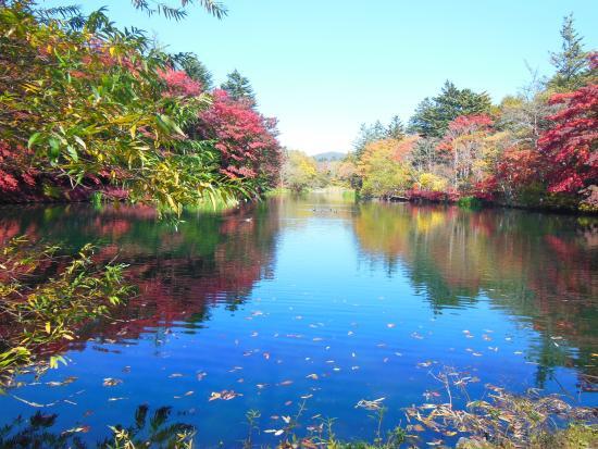Kumoba Pond