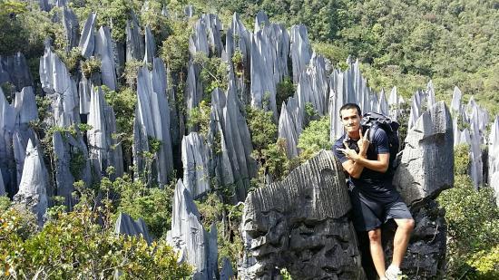 Mulu Caves