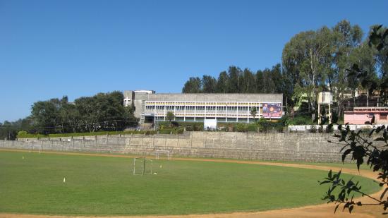 Montfort School