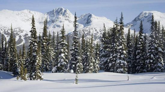 Gulmarg Biosphere Reserve