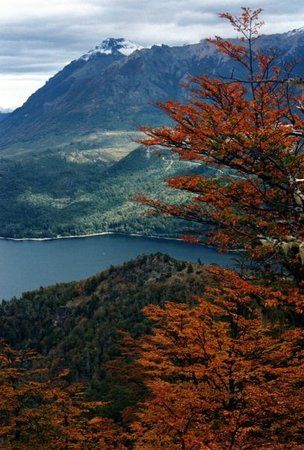Cerro Otto