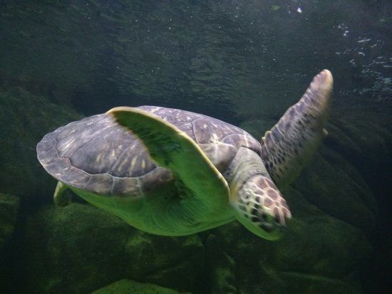 Acqua Mundo
