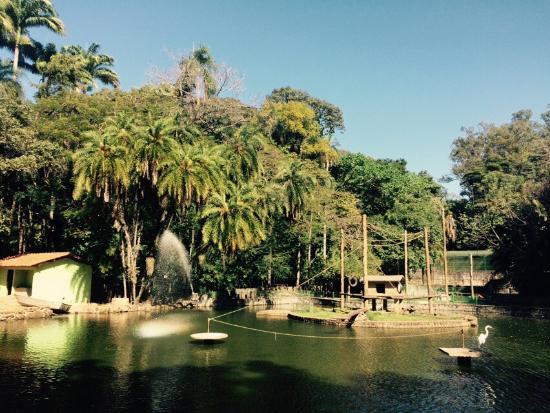 Bosque dos Jequitibás
