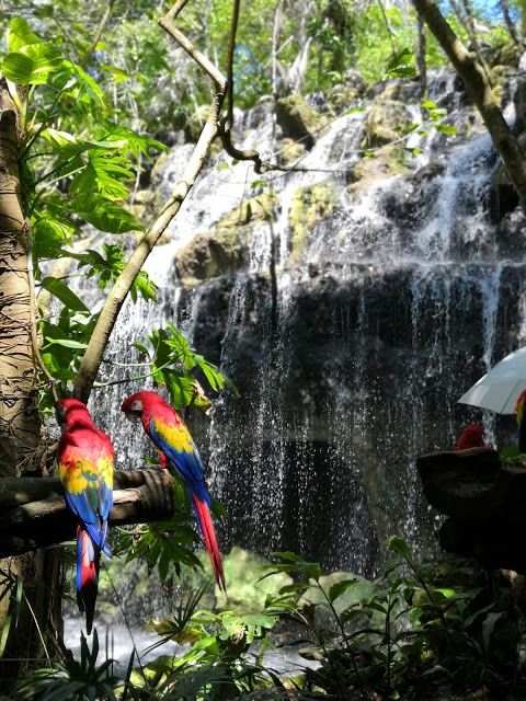 Xenses Park
