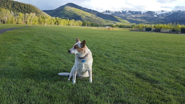 Willow Creek Park