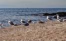 Amarin Strand