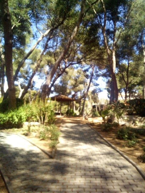 Parque Municipal